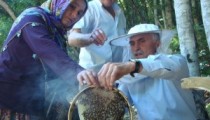 DAHA İYİ BAL İÇİN DAĞDA YAŞIYORLAR