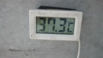 SICAKLAR VATANDAŞLARI BUNALTTI