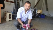 ŞİFALI BİTKİLERE RAĞBET