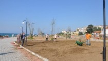 YENİ PARKTA ÇİMLENDİRME ÇALIŞMALARI