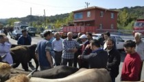 KURBANLIKLARDA SAHTE PARA UYARISI