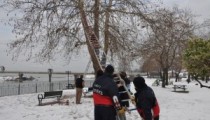 İTFAİYE KARGA İÇİN SEFERBER OLDU