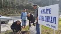 VERGİ HAFTASINDA FİDAN DİKTİLER