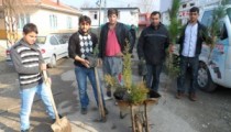 OKUL VE CAMİ ÇEVRESİNE FİDAN DİKTİLER