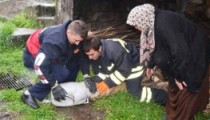 KAFASINA BİDON SIKIŞAN KÖPEK,İTFAİYE EKİPLERİ KURTARDI