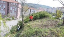 YABANİ BİTKİ TEMİZLİĞİ SÜRÜYOR