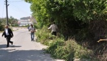 MOLLABEY YOLUNDA ÇALILAR TEMİZLENİYOR