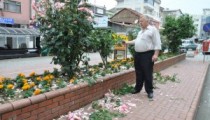 ÇİÇEK VE AĞAÇLAR TAHRİP EDİLDİ