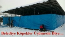 ALAPLI BELEDİYESİ KÖPEKLER ÜŞÜMESİN DİYE……