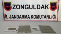 ALAPLI JANDARMADAN BONZAİ OPERASYONU