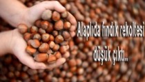FINDIKTA REKOLTE DÜŞTÜ