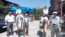 ÜÇ TORUNUNA SÜNNET DÜĞÜNÜ YAPTI