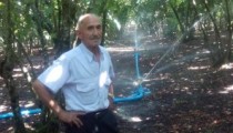 FINDIKLARI SULADI 6 TON ÜRÜN ALIYOR