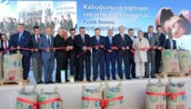 TÜRKİYE FINDIK SEZONU AKÇAKOCA’DA AÇILDI