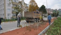 DOLGU ALANINDA AĞAÇLANDIRMA ÇALIŞMALARI SÜRÜYOR