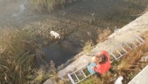 KÖPEĞİ ÇAMURUN İÇİNDEN KURTARDI