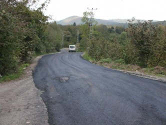ŞEHİT OLUNCA YOL BİR GÜNDE YAPILDI