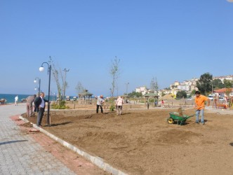 YENİ PARKTA ÇİMLENDİRME ÇALIŞMALARI