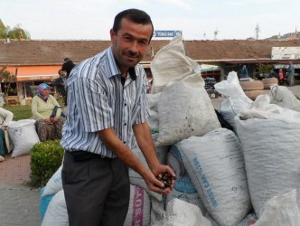 KESTANE PAZARA İNDİ