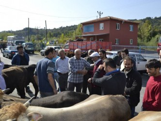 KURBANLIKLARDA SAHTE PARA UYARISI