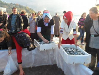 HAMSİ FESTİVALİNDE İZDİHAM YAŞANDI