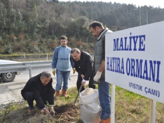 VERGİ HAFTASINDA FİDAN DİKTİLER