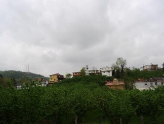 SARIKADI KÖY OLMAK İSTİYOR