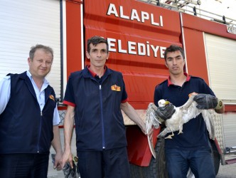 Alaplı’da 1 günde 2 operasyon