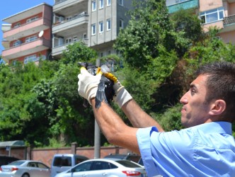 ANNE KARGA YAVRULARI İÇİN ÇIĞLIK ATTI
