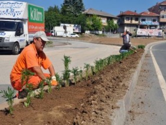30 BİN ÇİÇEK DİKİLECEK