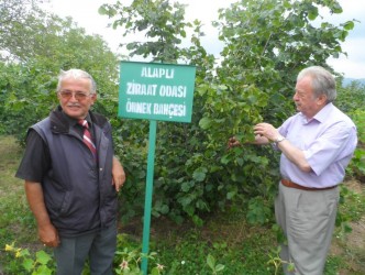ALAPLI ORGANİK TARIM YAYGINLAŞIYOR