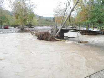 BALIKLAR SELE KAPILDI