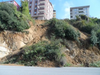 ALAPLI’DA HEYELAN EV SAHİPLERİNİ KORKUTTU