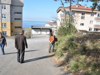 YABANİ OT VE BİTKİ TEMİZLİĞİ YAPILIYOR
