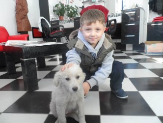 KÜÇÜK ALEMDAR KAYBOLAN KÖPEĞİNE KAVUŞTU
