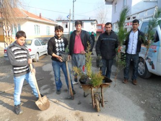 OKUL VE CAMİ ÇEVRESİNE FİDAN DİKTİLER