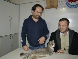 ENGELLİ DERNEĞİNİN ENGELLİ KEDİSİ