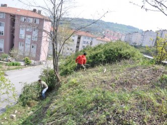 YABANİ BİTKİ TEMİZLİĞİ SÜRÜYOR