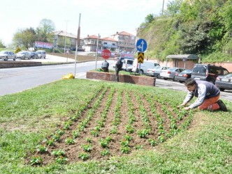 ÇİÇEKLENDİRME ÇALIŞMALARI BAŞLADI