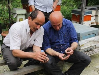 ARI ÖLÜMLERİ BAKANLIĞI HAREKETE GEÇİRDİ