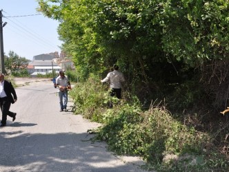 MOLLABEY YOLUNDA ÇALILAR TEMİZLENİYOR