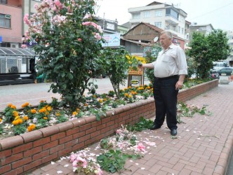 ÇİÇEK VE AĞAÇLAR TAHRİP EDİLDİ