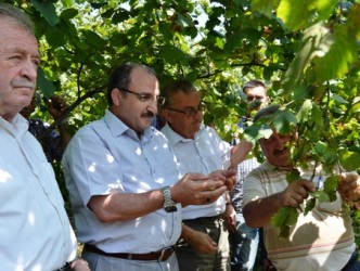 HASAT BAYRAMI TARLADA KUTLANDI