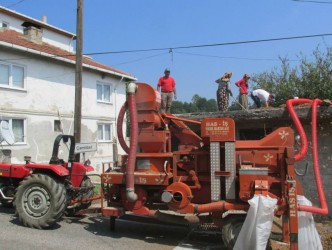 FINDIKLAR PATOZA GİRMEYE BAŞLADI