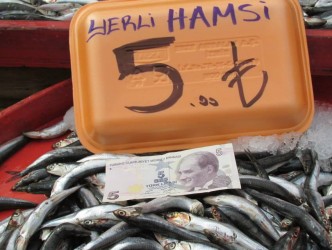 ALAPLI’DA HAMSİ 5 LİRA
