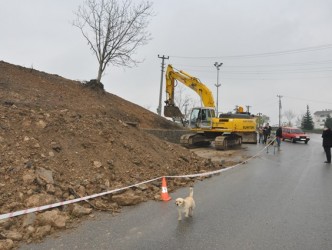 YOL KENARLARI AĞAÇLANDIRILIYOR