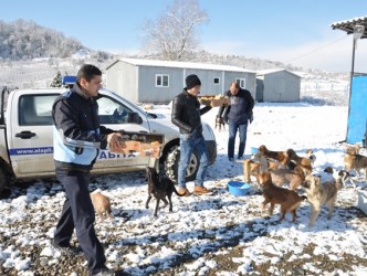 SOKAK HAYVANLARI UNUTULMADI