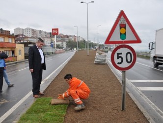 KARAYOLU REFÜJÜNDE ÇİMLENDİRME ÇALIŞMASI