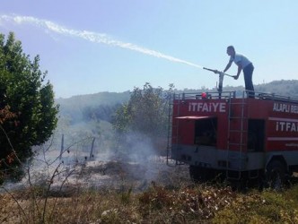 GÖKHASAN KÖYÜNDE 4 DÖNÜM ALAN YANDI