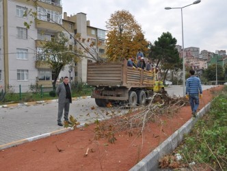 DOLGU ALANINDA AĞAÇLANDIRMA ÇALIŞMALARI SÜRÜYOR